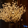 Отель Manju Hotel (Shaoxing Didang Shimao Plaza), фото 16