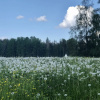 Отель Charming 1-bed Studio in Avesta, фото 17