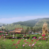 Отель Wutaishan Wufeng Hotel, фото 9