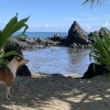 Отель Le Rocher de Tahiti, фото 1