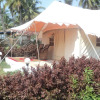 Отель Five Five Restaurant and Guest Tent- Glamping, фото 3