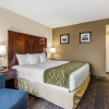 Отель Comfort Inn College Park North, фото 5