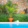Отель Naboo Resort & Dive Center - Adults Only, фото 32