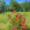 Отель La Rosa Tra Le Vigne, фото 14