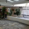 Отель Waikiki Condo Just Remodeled Kuhio Village 202A, фото 11