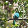 Отель Hostal del Lago de Yojoa, фото 14