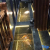 Отель Linxi Xiaoyin Homestay, фото 10