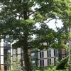 Отель The Endcliffe Village (part of the University of Sheffield), фото 1