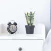 Отель GLOBALSTAY. Gorgeous Apartments in the Heart of Toronto, фото 18