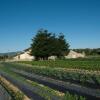 Отель Agriturismo Fiorella, фото 14