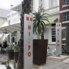 Отель Hippo Boutique Hotel в Кейптауне