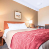 Отель Comfort Inn & Suites, фото 34