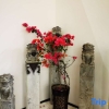 Отель Nalati Shuimu Shangshan Jingyue Yuntang Meisu., фото 10