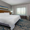 Отель Embassy Suites by Hilton Dallas DFW Airport North, фото 38