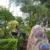 Отель Jianshui zhuwuqing  homestay, фото 8