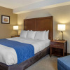 Отель Comfort Inn Shady Grove - Gaithersburg - Rockville, фото 4