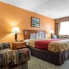 Отель Econo Lodge & Suites Southern Pines, фото 33