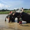 Отель Chitwan Park Village, фото 20