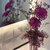 Отель FCH Hotel Providencia - Adults Only, фото 9