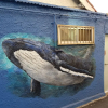 Отель Jinho's Black Whale Guesthouse & Bar, фото 10