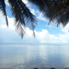 Отель Sina PJ Beach Fales and Surf, фото 5