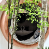 Отель Room in Lodge - Eco-luxe Mayan Dome & Cenote, фото 10