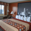 Отель Hill Country Inn & Suites, фото 4