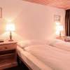 Отель Jungfrau Lodge, Swiss Mountain Hotel, фото 5
