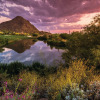 Отель Holiday Inn Club Vacations Scottsdale Resort, an IHG Hotel, фото 25