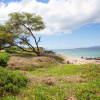 Отель Hale Kamaole #328 - 2 Br Condo, фото 18