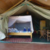 Отель Crocodile Camp-Masai Mara, фото 7