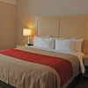 Отель Comfort Inn & Suites, фото 3