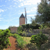 Отель Moli de Son Vidal (SNY100), фото 28