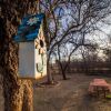 Отель Katie's Cozy Cabins, фото 27