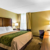 Отель Comfort Inn Newport News/Williamsburg East, фото 6