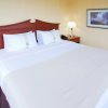 Отель Holiday Inn Suites Blue Ridge Shadows, фото 9