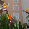 Отель Apartamento Funchal Sunshine, фото 3