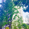 Отель Le Ju Hotel(Zhengzhou Diehu Park Riverside Metro Station), фото 18