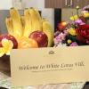 Отель White Lotus Villas, фото 10