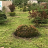 Отель Kavango Dachils Lodges Ext2, фото 8