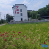 Отель Menghuizhou Boutique Inn (Huangshan North Railway Station Xixinan Branch), фото 5