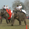 Отель Rhino Lodge & Hotel, фото 14