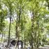Отель Striking Chalet With Dishwasher, Surrounded by Nature, фото 21