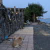 Отель The Place at the Sea, фото 18