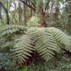 Отель kilnopark hotel machame, фото 7