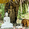 Отель Neem Jay Beach Cabanas, фото 7