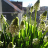 Отель Annes Hus, фото 28