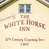 Отель The White Horse Inn, фото 47