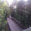 Отель Fm Hotel, фото 17
