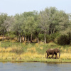 Отель Amanzi Camp, фото 6